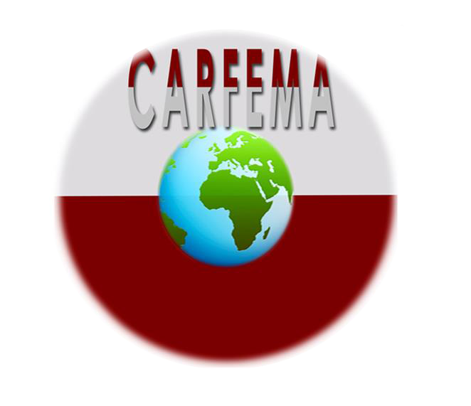 Logo carfema